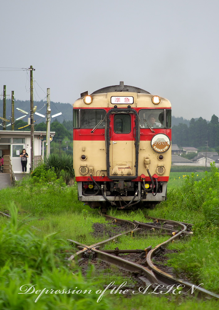 4117da4b.jpg