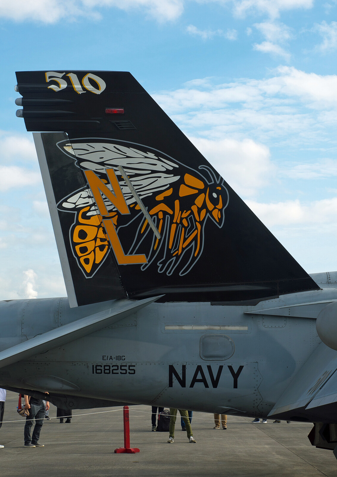 U.S.NAVY EA18G VAQ-138 ”Yellow Jackets” : THE ALIENS NEST