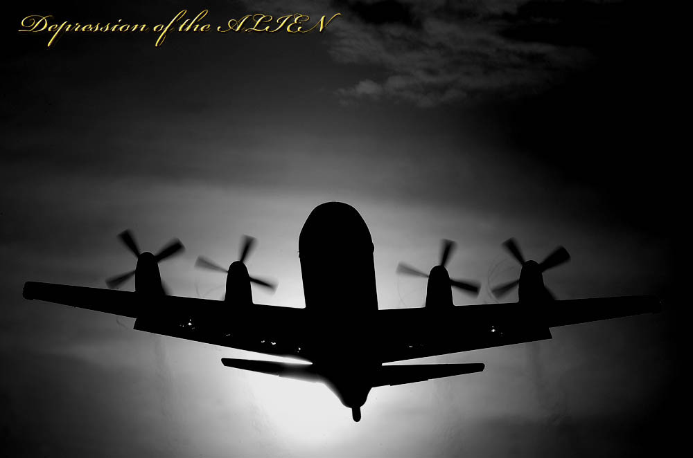 56afac18.jpg