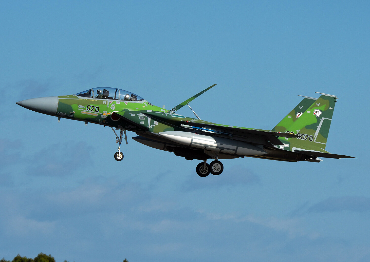 航空自衛隊 飛行教導群 F-15DJ ”92-8070” : THE ALIENS NEST