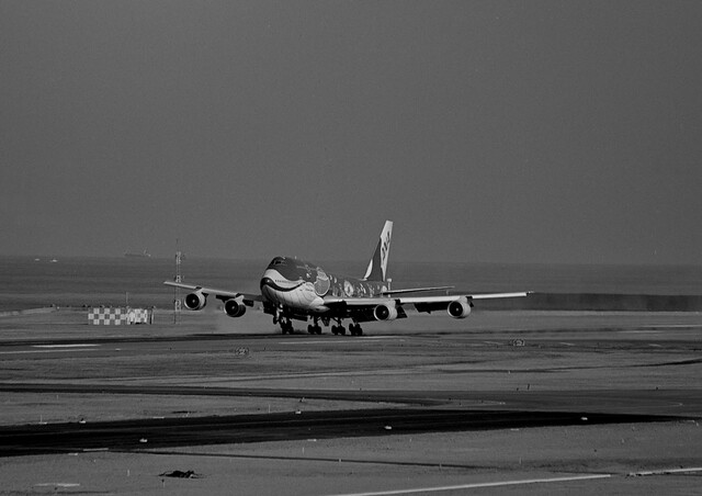 ANA B747-400D「JA8963」マリンジャンボ : THE ALIENS NEST