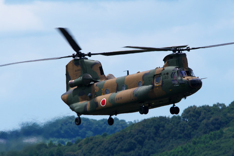 ◆◆◆◆◆◆DSC_4674