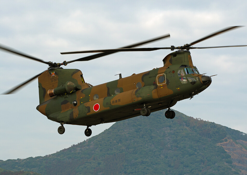 JGSDF 109AVN CH47JA ～鹿屋航空基地～ : THE ALIENS NEST
