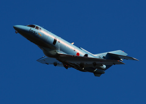 ◆◆◆◆◆◆◆◆C_1195