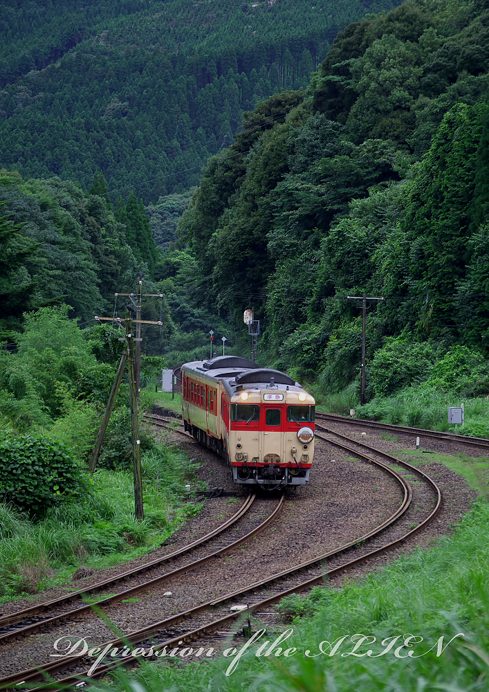 6dc8092a.jpg