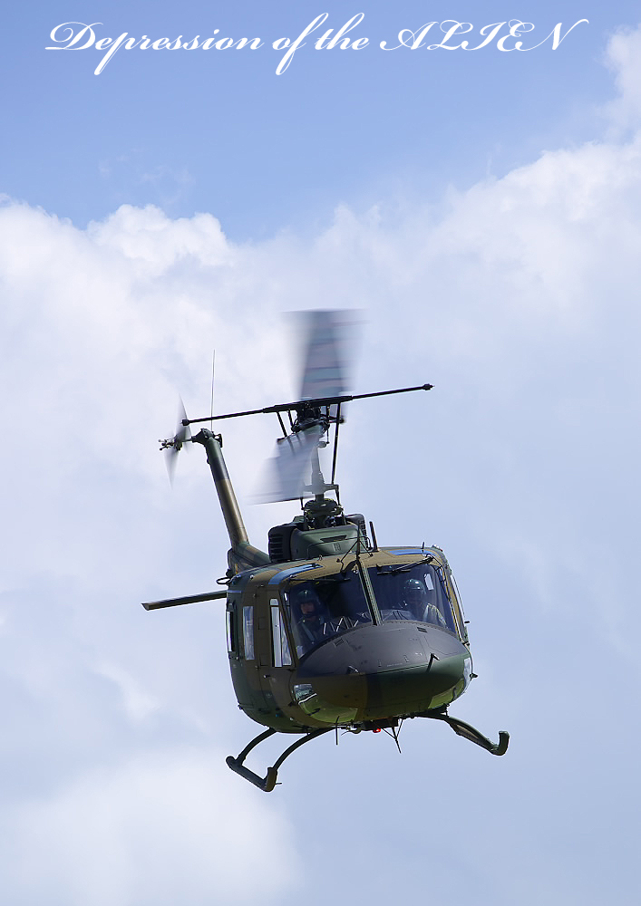 ad311488.jpg