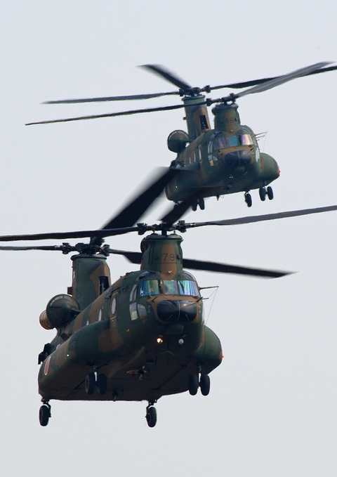 ◆◆◆◆◆◆◆C_7973