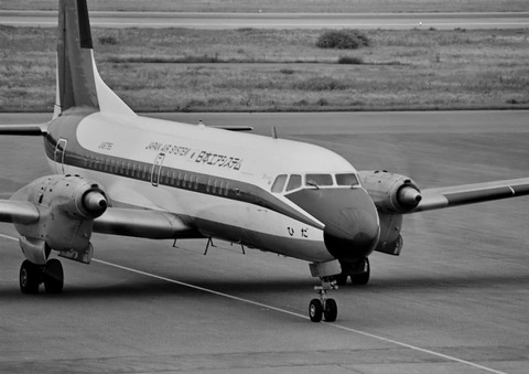 ◆◆◆◆◆◆DSC_0303