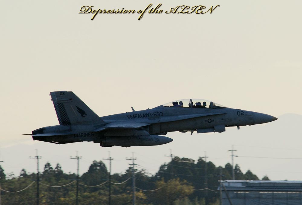 cebe367b.jpg