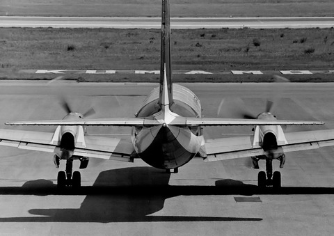 ◆◆◆◆◆◆DSC_0248