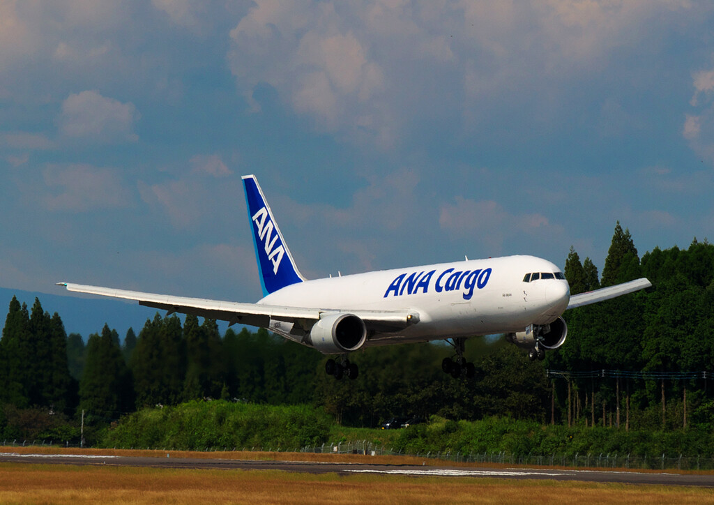 ANA CARGO B767 ”JA601F : THE ALIENS NEST
