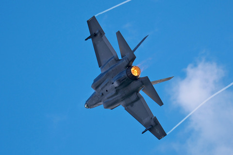 アメリカ海軍 F-35C VFA-147”ARGONAUTS” : THE ALIENS NEST