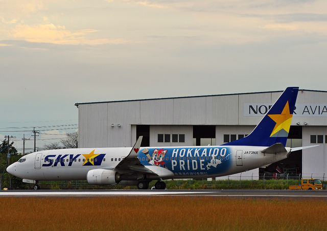 スカイマーク ”ファイターズジェット” JA73NX : THE ALIENS NEST