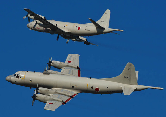 f981b352.jpg