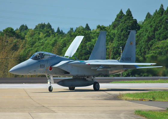 feb3c993.jpg