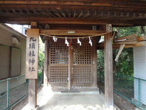 DSC02765