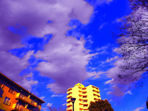 DSC03374 (1)