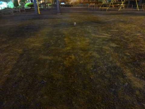 DSC03930