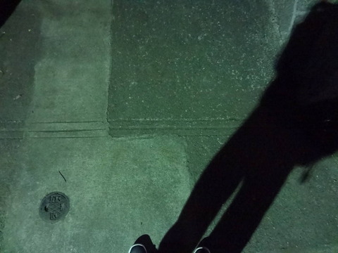 DSC03099