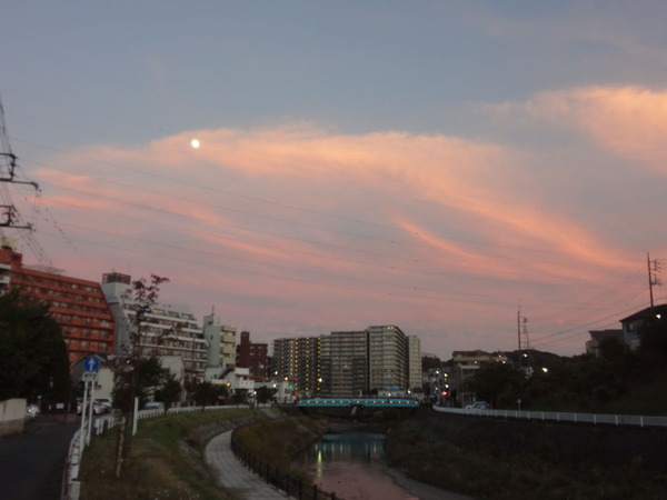 DSC05039re