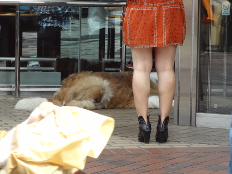 DSC01764
