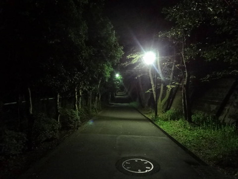DSC02623