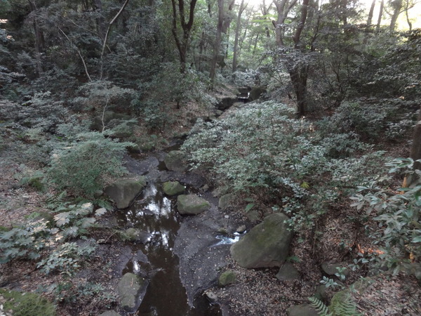 DSC04840re
