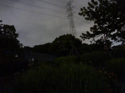 DSC04210