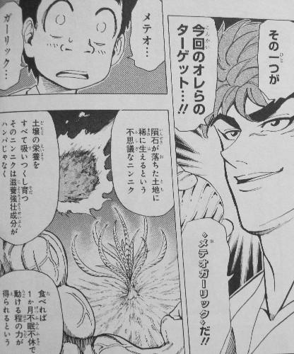 トリコ 第18巻 秩序無きグルメカジノへ 目指すはメテオガーリック 3階の者だ トリコ 第18巻 秩序無きグルメカジノへ 目指すはメテオガーリック 3階の者だ