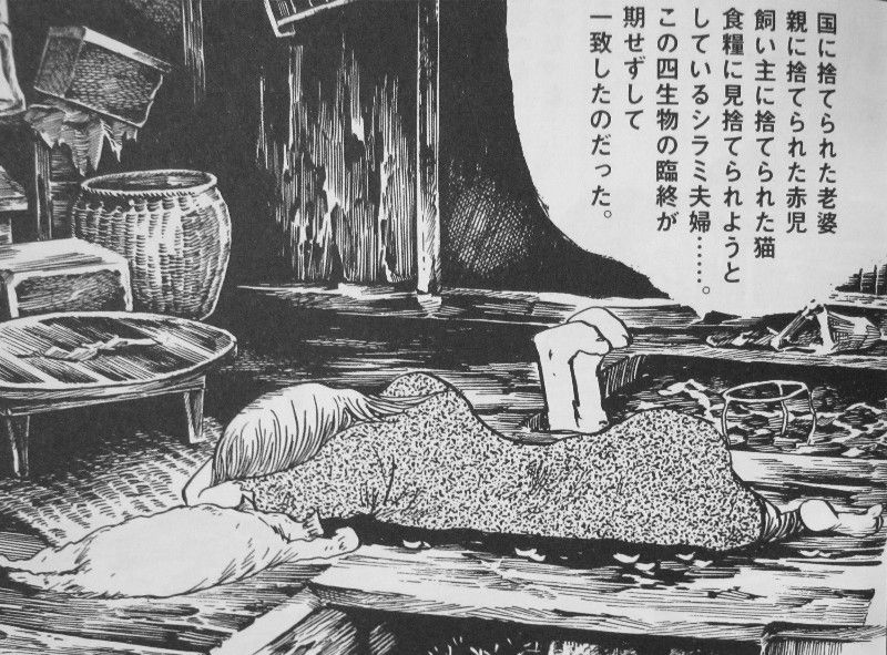 水木しげる漫画大全集 コケカキイキイ 他 哀れな4つの命から コケカ爆誕 3階の者だ 水木しげる漫画大全集 コケカキイキイ 他 哀れな4つの命から コケカ爆誕 3階の者だ