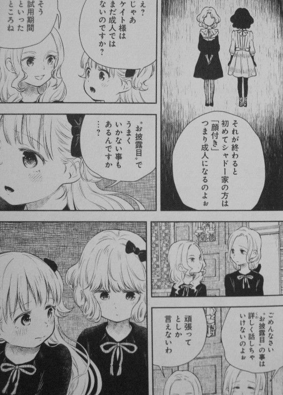 シャドーハウス 第2巻 謎多きシャドー家の不思議と その陰で蠢く亡霊 3階の者だ