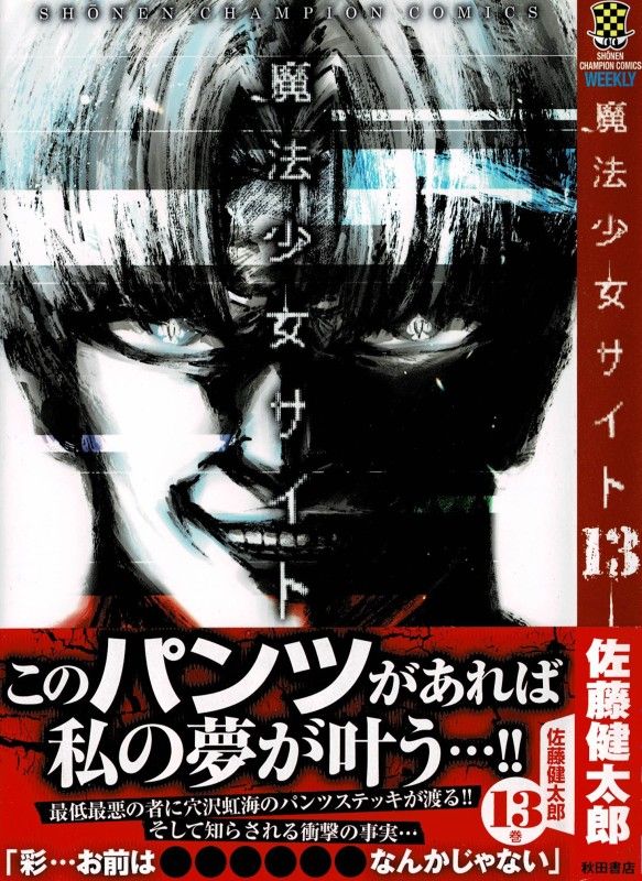 魔法少女サイト 第13巻 暴走する夢と 冷酷な現実 彩の前に立ちはだかるのは 管理人と 3階の者だ