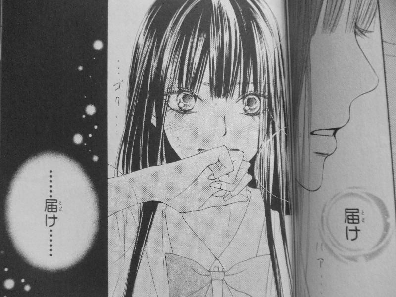 君に届け 第9巻 届け この想い 3階の者だ 君に届け 第9巻 届け この想い 3階の者だ
