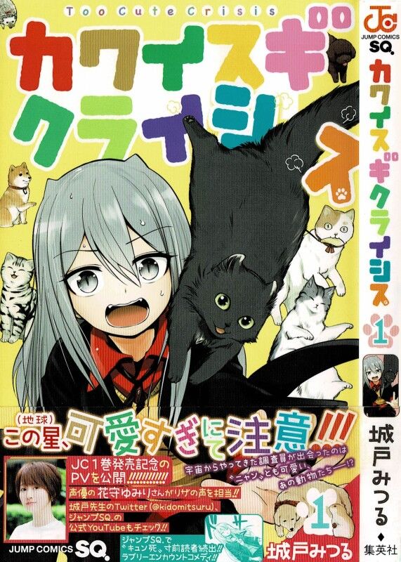大阪販売中 - カワイスギクライシス B2サイズ ポスター 非売品