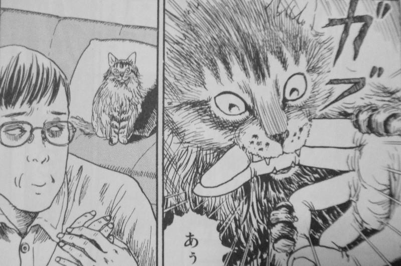伊藤潤二の猫日記 よん むー ホラー漫画家は猫を愛でる 3階の者だ
