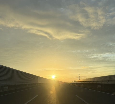 S__1138434051_0
