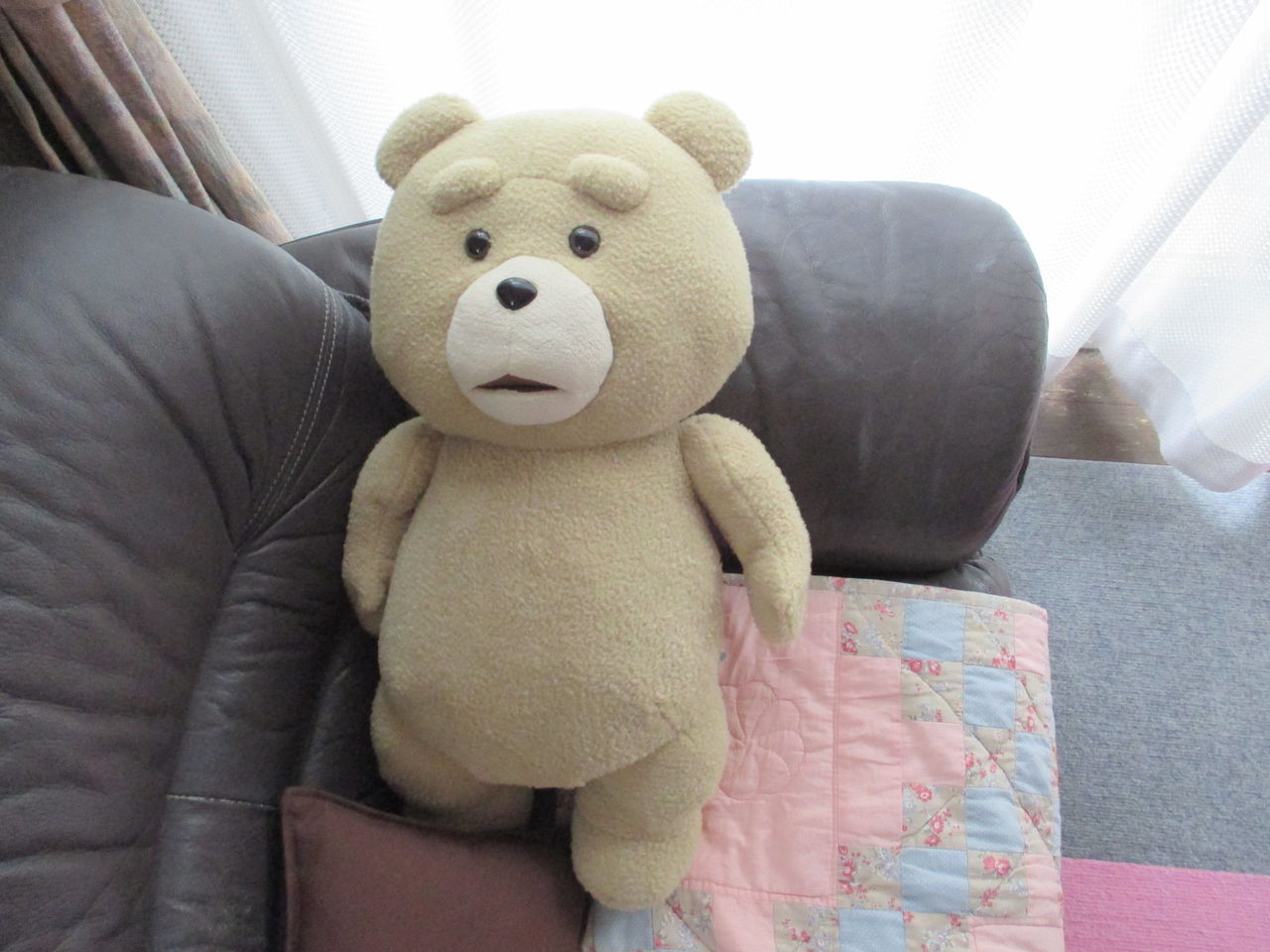 我が家にテッドがやってきた ひとりぼっちのかかし
