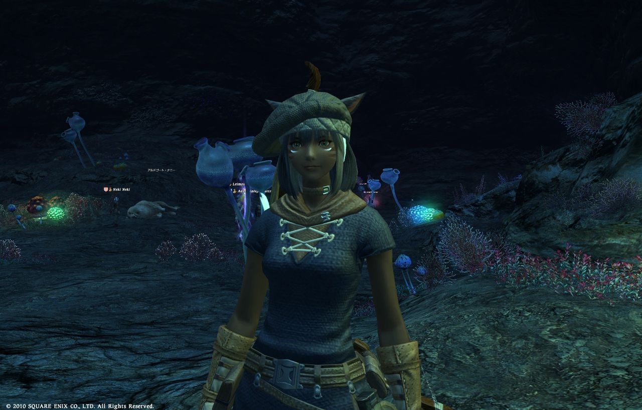 カリガ ヴァンブレイス シープ素材とドードー素材 山猫がゆく Ff14 褐色ミコッテの生活 カリガ ヴァンブレイス シープ素材とドードー素材 山猫がゆく Ff14 褐色ミコッテの生活