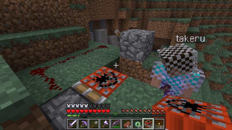 エンダードラゴン討伐 上 隅の苔