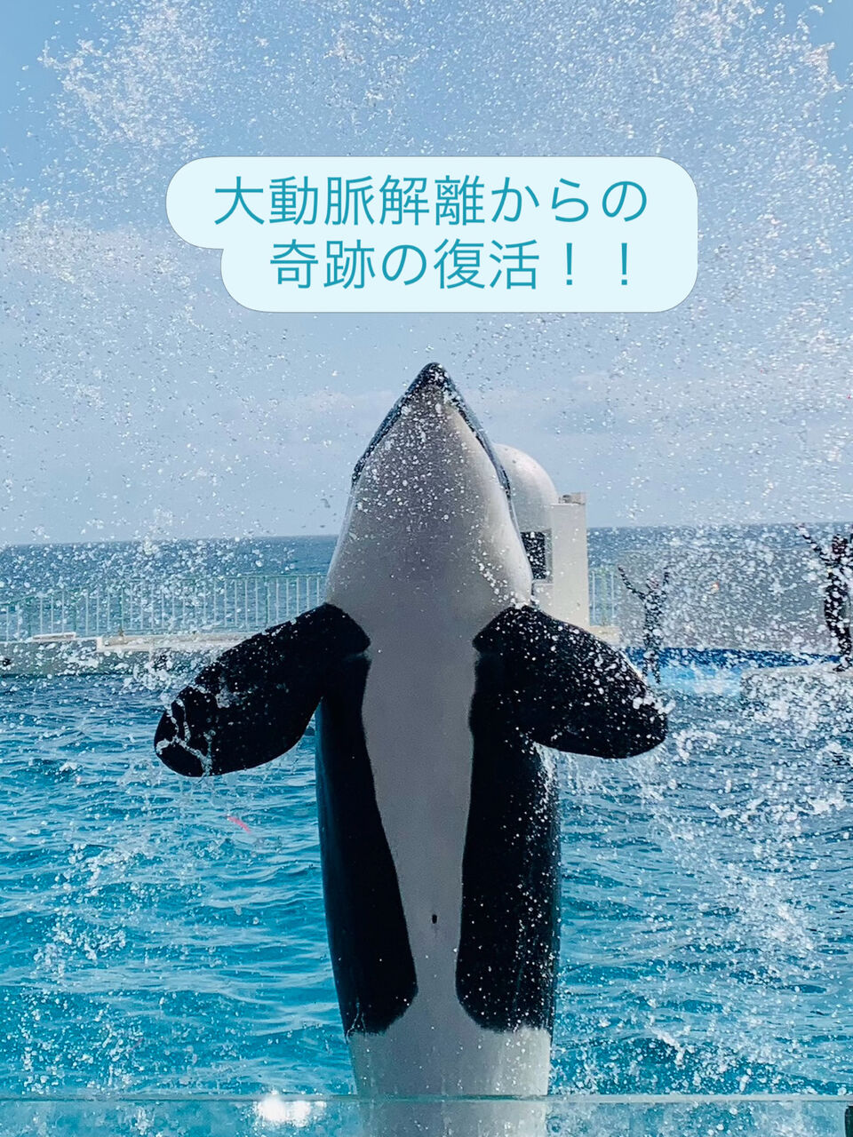 93E84F95-0390-44C8-9411-14037CB59200