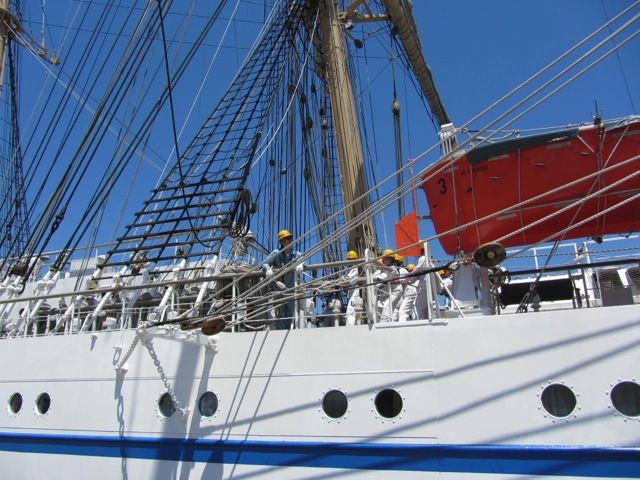 今治へ舵をとれ バリシップ15 に日本丸入港 ロープを知る