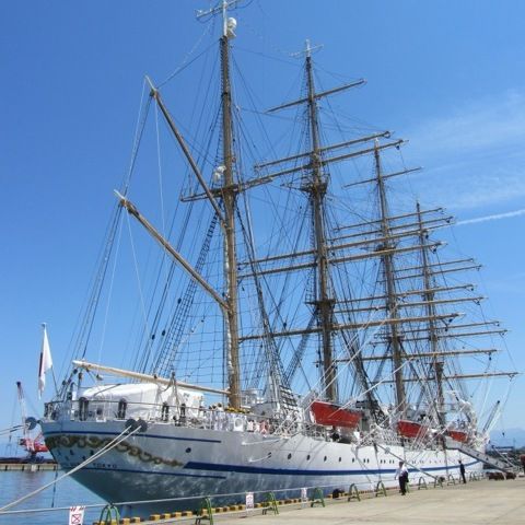 今治へ舵をとれ バリシップ15 に日本丸入港 ロープを知る