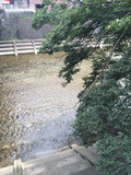 2014-08-24-12-59-29