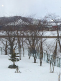 2015-03-23-12-54-33