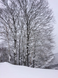 2015-01-01-12-38-26
