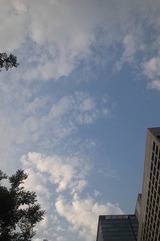 20110629