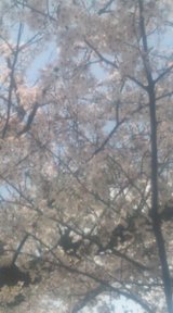 100407