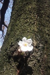 20120401
