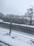 IMG_0836