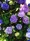 2014-05-30-12-51-55